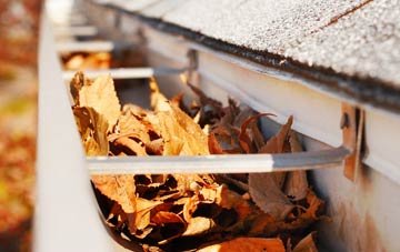 Gowanwell gutter cleaning companies