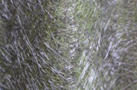 Gowanwell fibreglass roof work